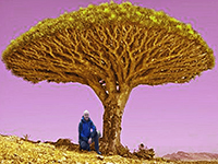 Mein Kletterbaum