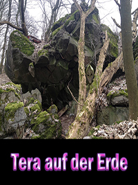 Tera auf Bunkertour